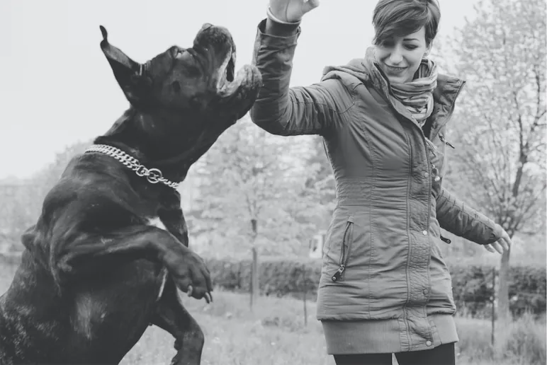 Woman in a hooded coat high-fives a large dog in a park; both appear joyful in a black-and-white scene.